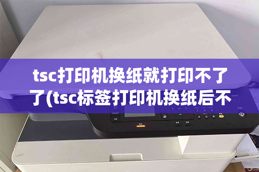 tsc打印机换纸就打印不了了(tsc标签打印机换纸后不能打印了)