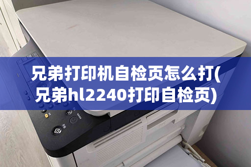 兄弟打印机自检页怎么打(兄弟hl2240打印自检页)