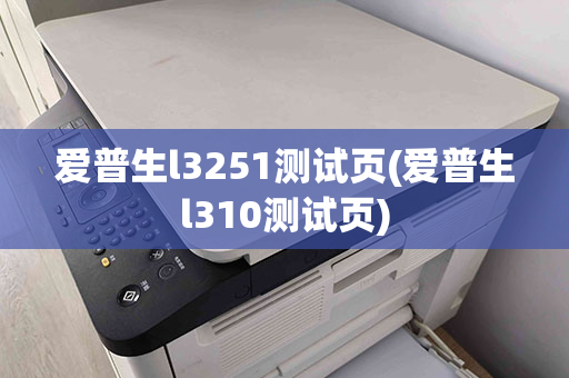 爱普生l3251测试页(爱普生l310测试页)