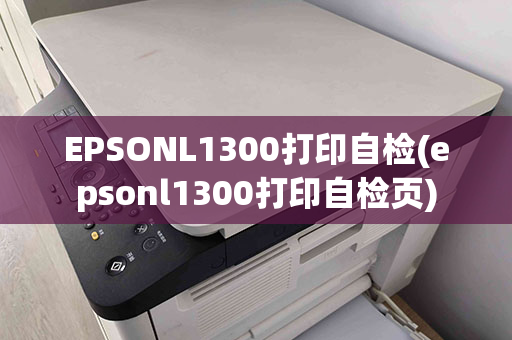 EPSONL1300打印自检(epsonl1300打印自检页)