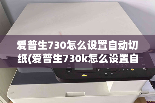 爱普生730怎么设置自动切纸(爱普生730k怎么设置自动切纸)